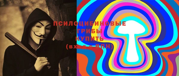 ПСИЛОЦИБИНОВЫЕ ГРИБЫ Алексин
