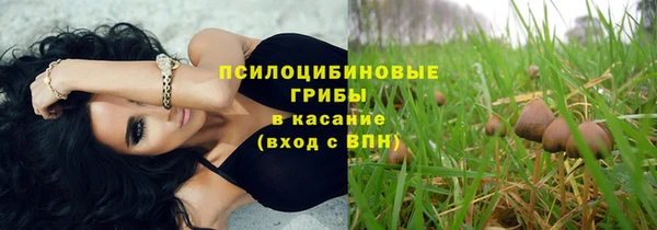 ПСИЛОЦИБИНОВЫЕ ГРИБЫ Алексин