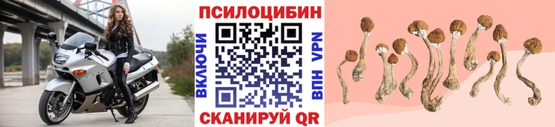 купить  сайты  Арамиль  OMG зеркало  Галлюциногенные грибы прущие грибы 